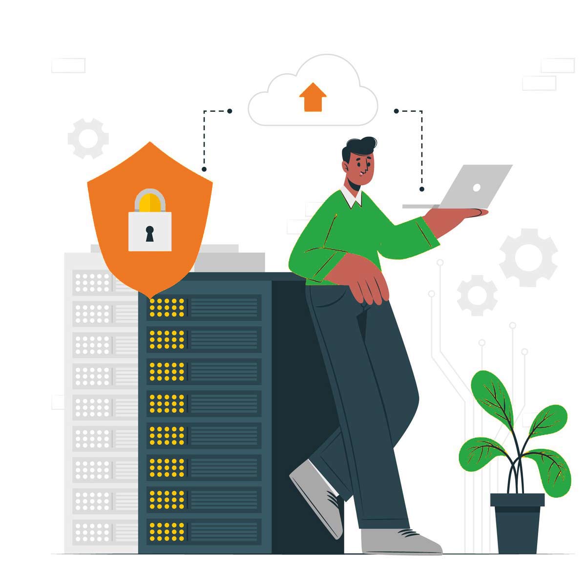 Premium  web hosting Bangladesh